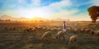 Jesus in the midst