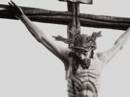 Jesus Forsaken