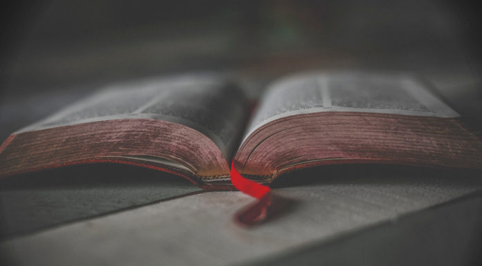 The Word The Word