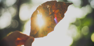 The will of God - sun ray