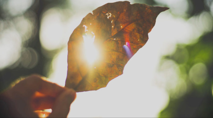 The Will of God The will of God - sun ray