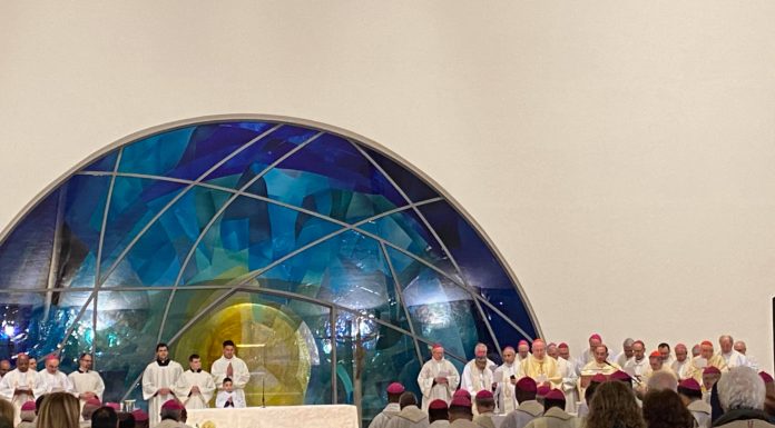 Pope Francis conveys gratitude for Focolare charism of unity